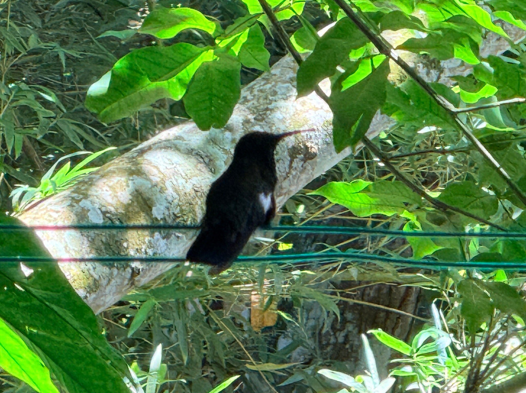 罗克兰兹鸟类保护区-Wiltshire必去景点