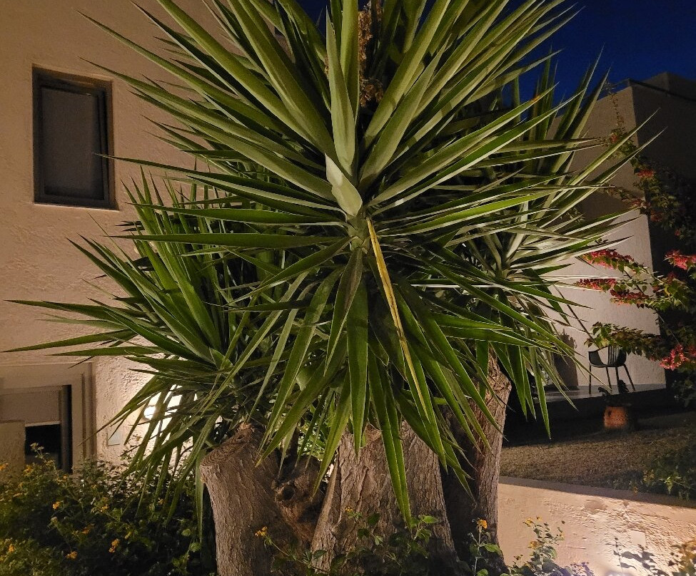 Sundance Apartments & Suites主图