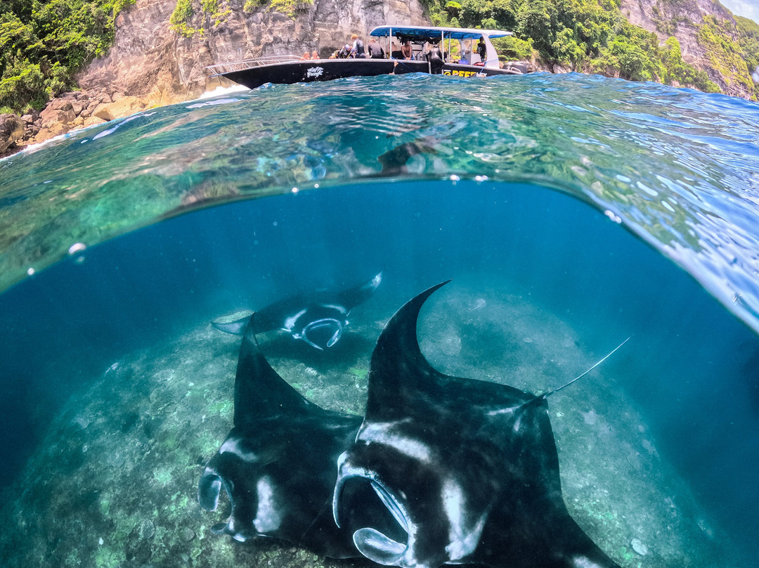 Reeflex Divers Penida-珀尼达岛必去景点