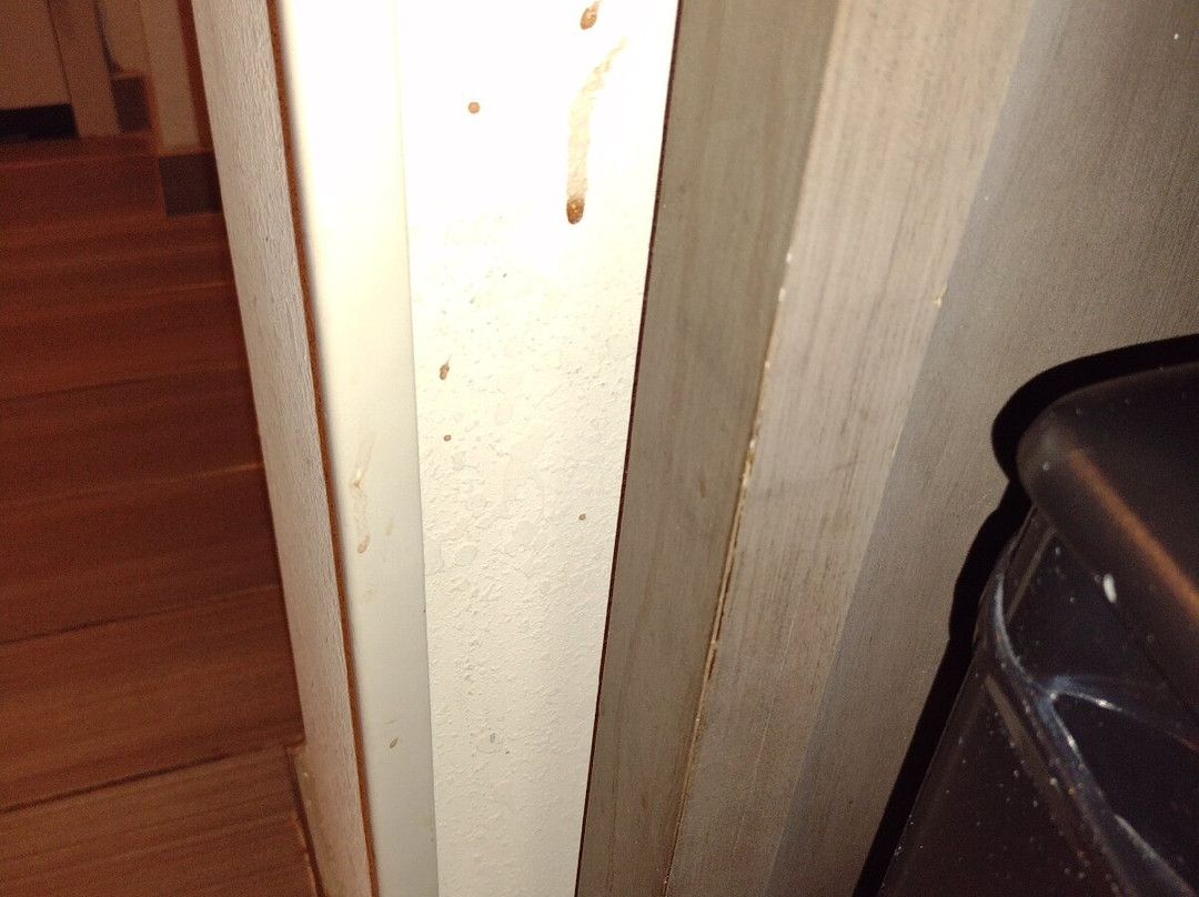 Hilton Garden Inn Bristol主图