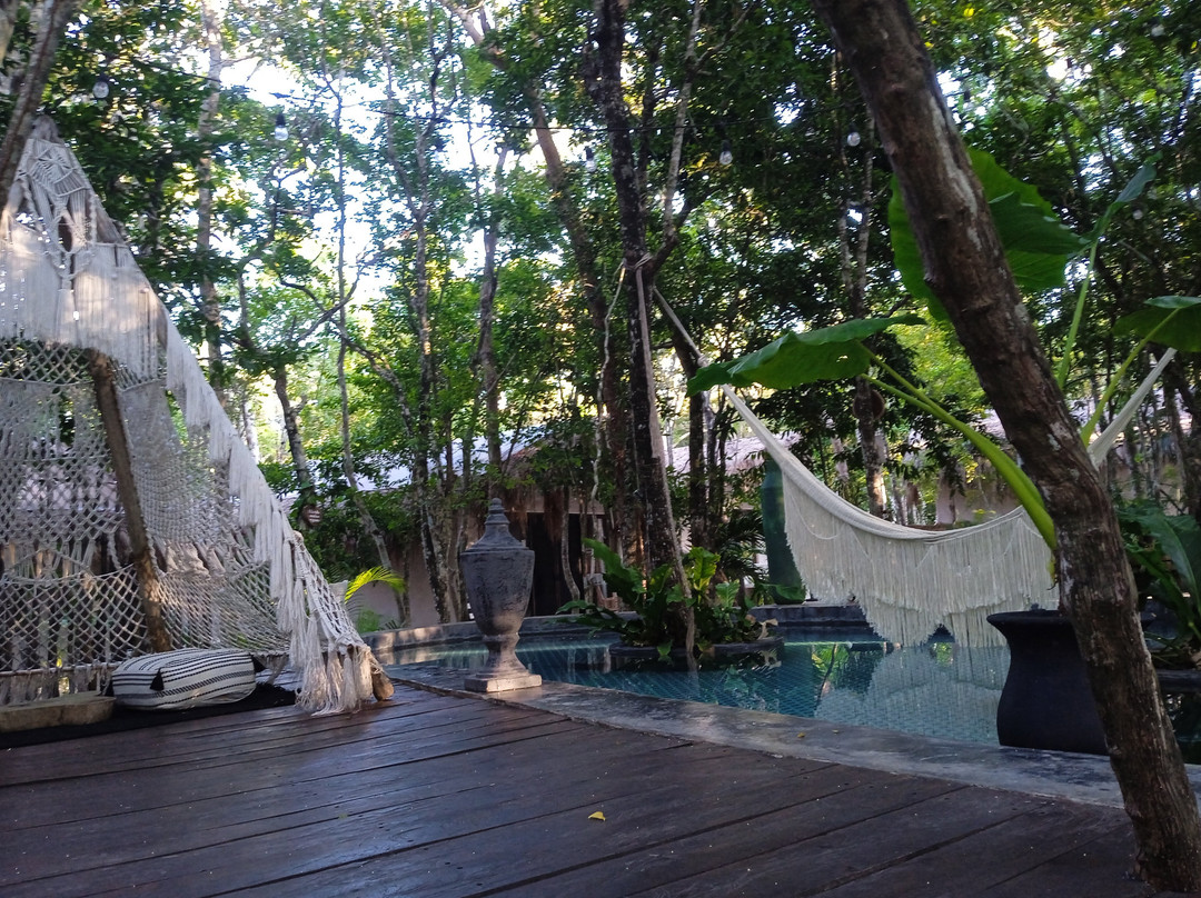 The Yellow Nest主图