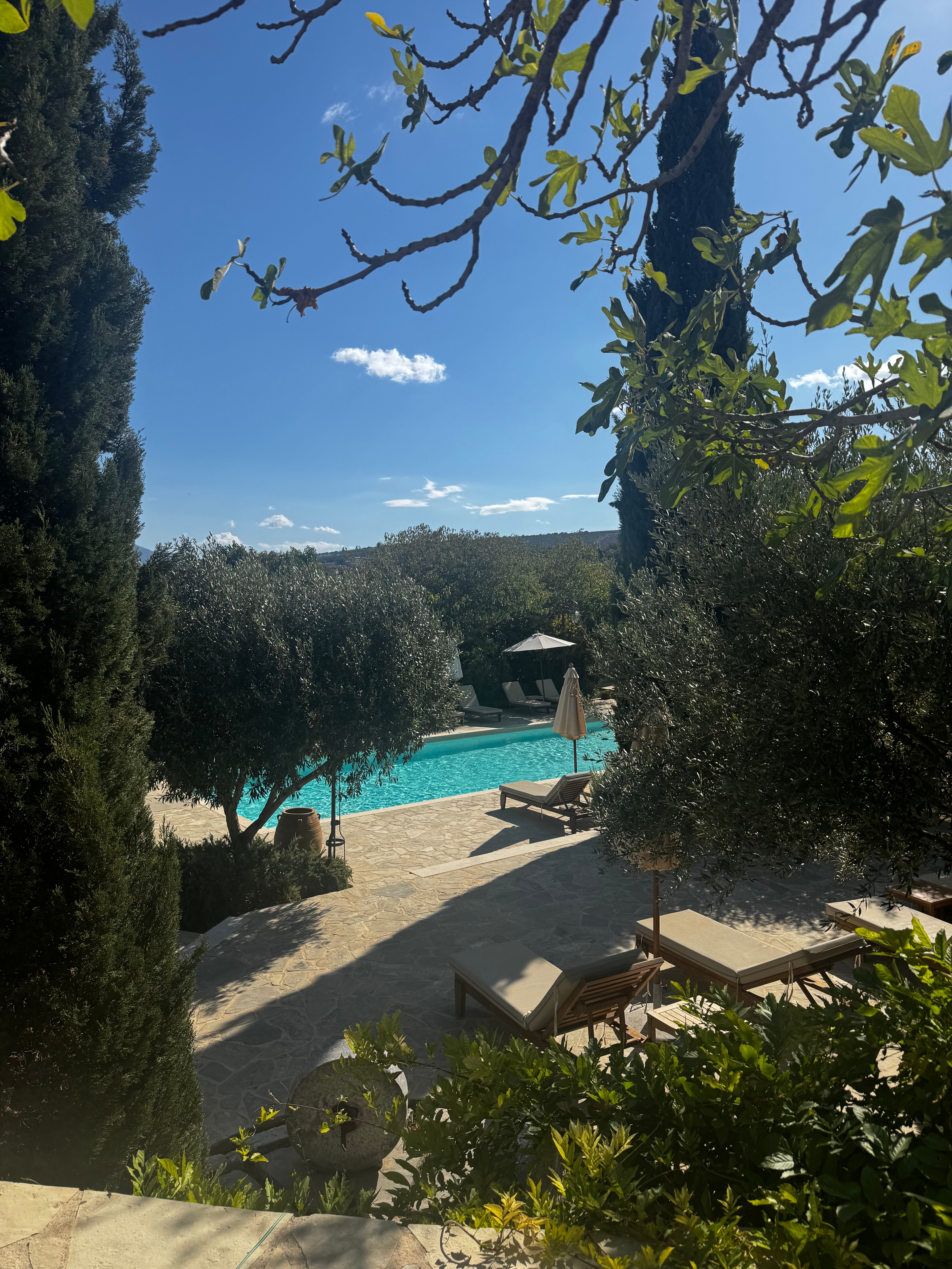 Kapsaliana Village Hotel-官方