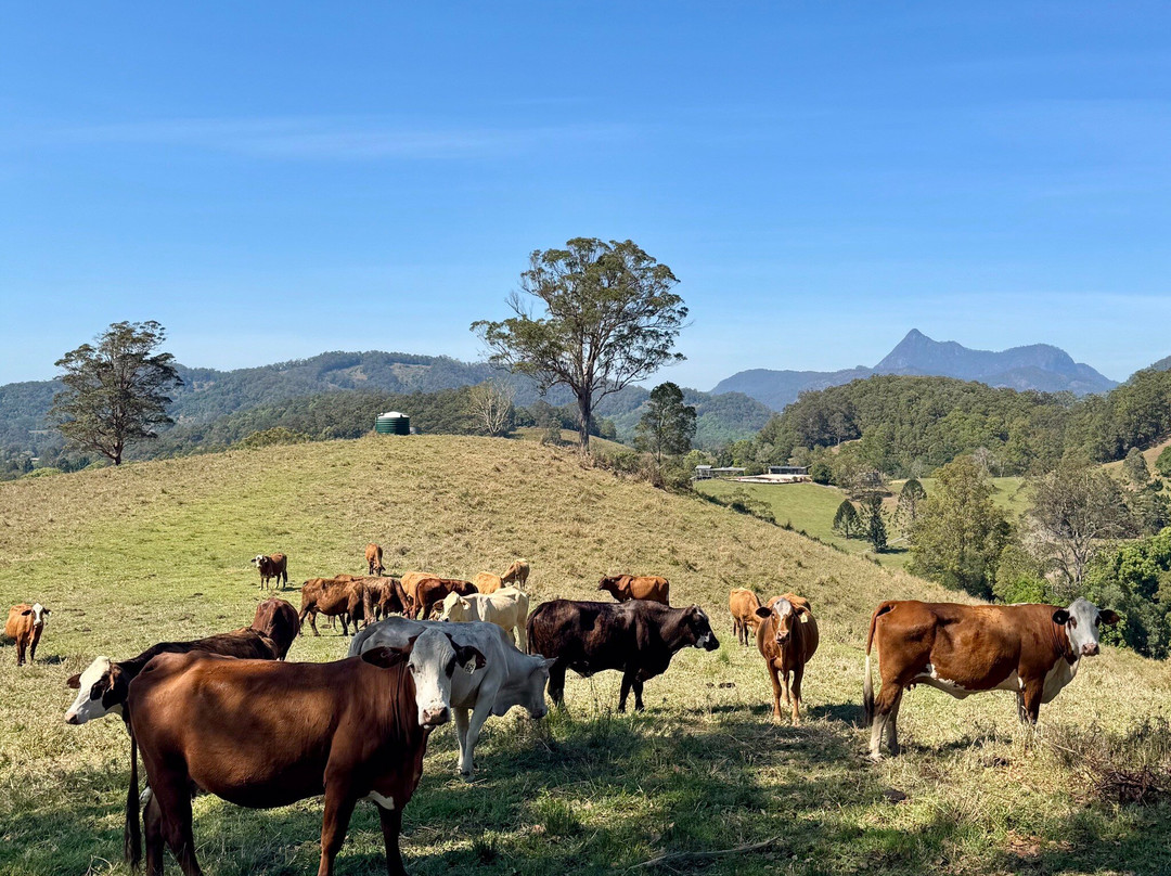 Hillcrest Mountain View Retreat主图