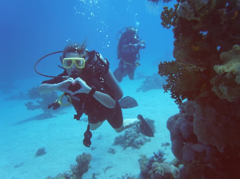 Gold Stars Diving Center-纳布克湾必去景点