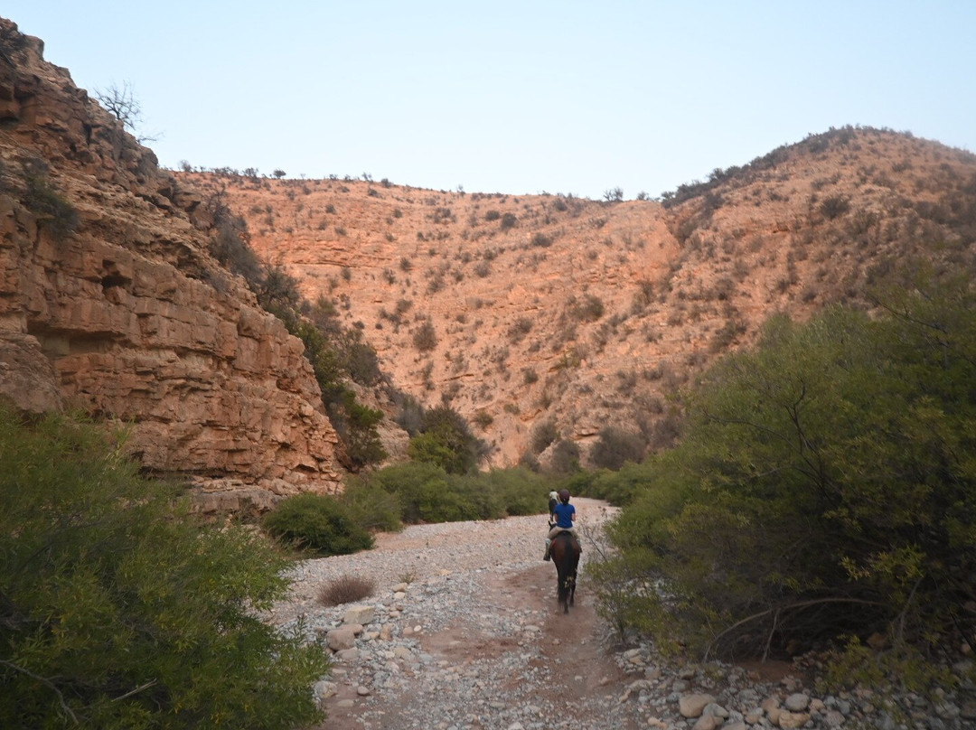 Amazir Cheval-Taghazout必去景点