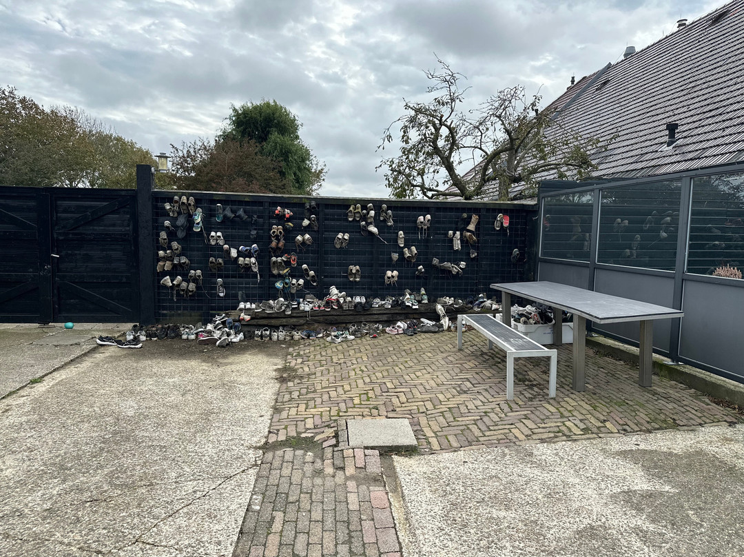 De Groot Recreatie-Hippolytushoef必去景点