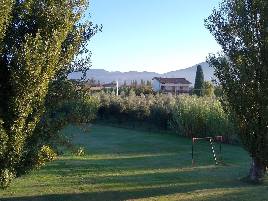 Le Rondini Di Francesco Di Assisi - Agriturismo主图