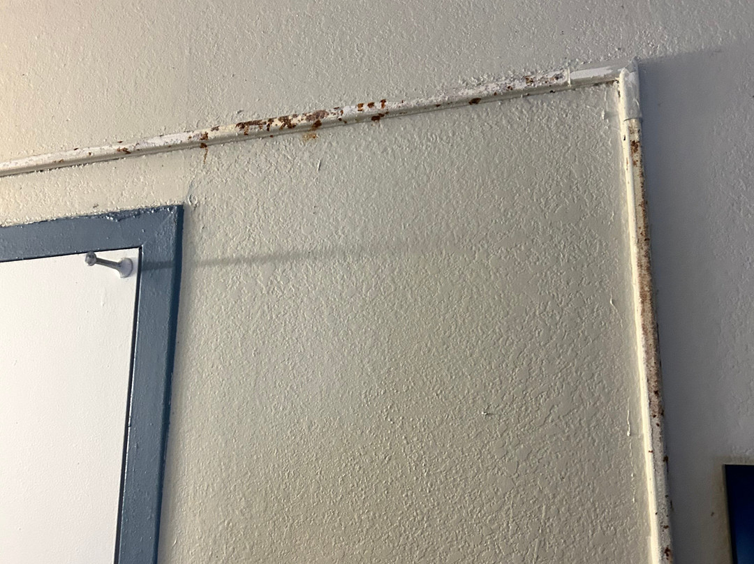 Days Inn by Wyndham Madison主图