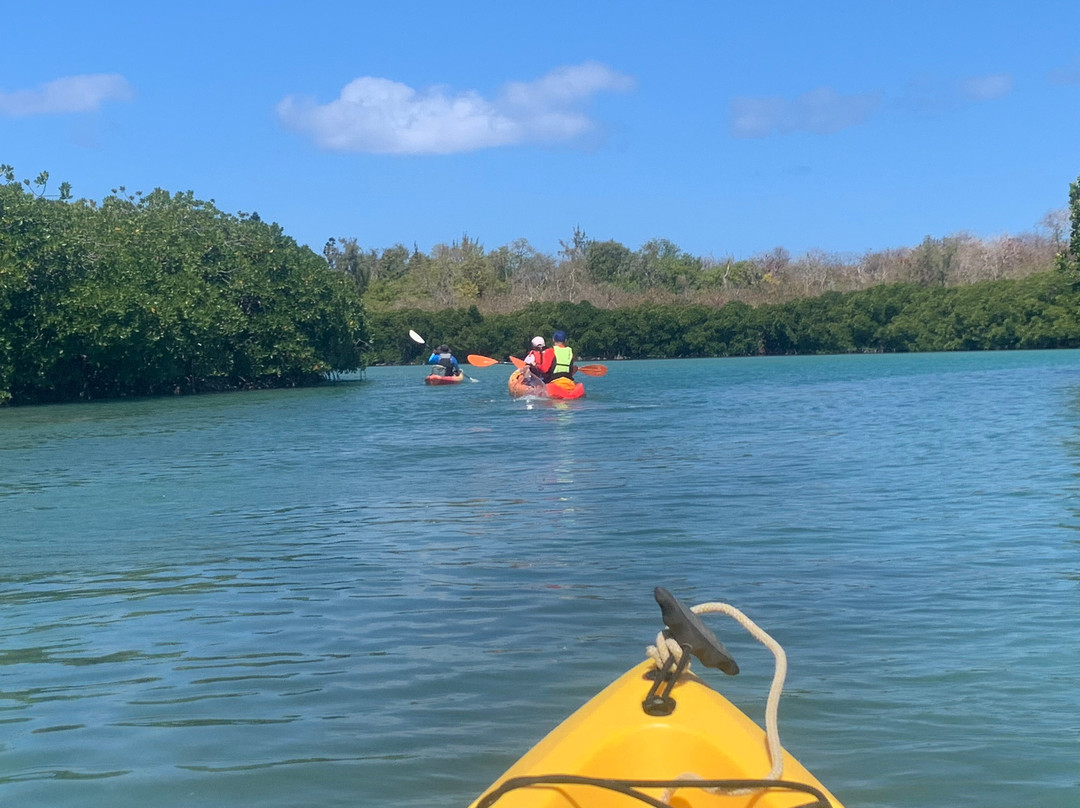 Sea Kayak Adventures-毛里求斯必去景点