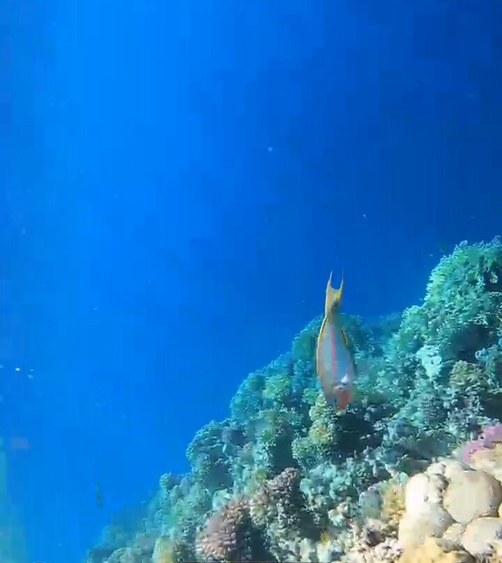 Sharm El Naga-Safaga必去景点