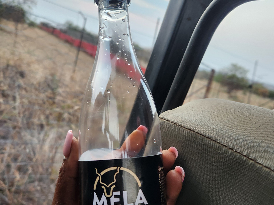 Mela Luxury Game Lodge主图