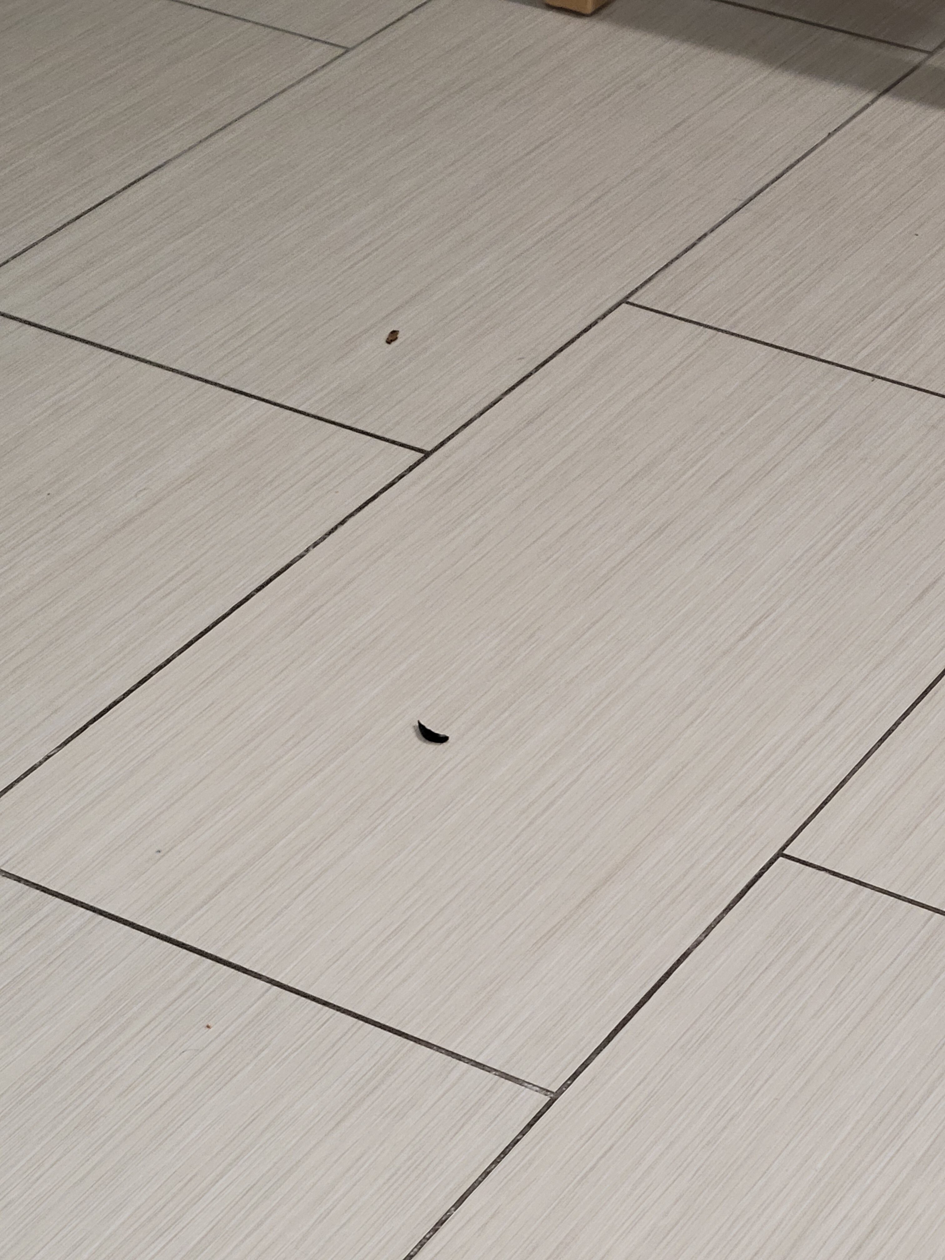 Home2 Suites by Hilton Bentonville Rogers-官方