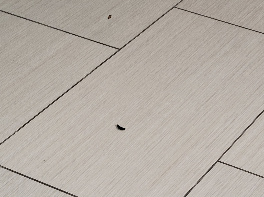 Home2 Suites by Hilton Bentonville Rogers主图