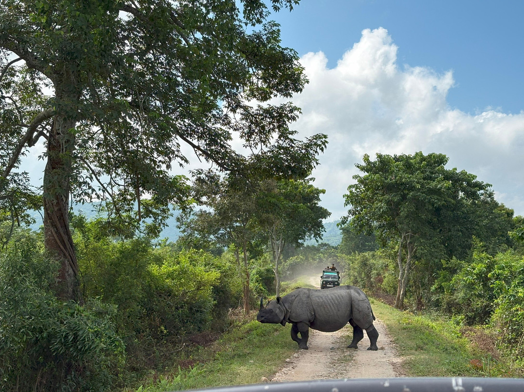 The Unexplored-古瓦哈提必去景点