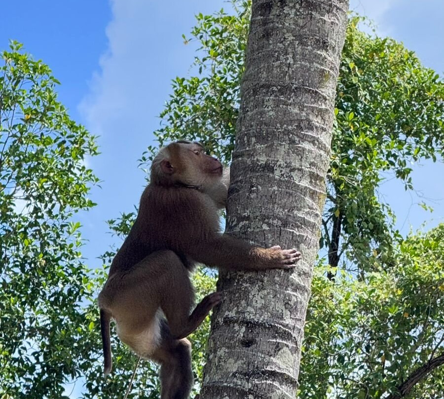 Our Magical Thailand-阁耀亚伊岛必去景点