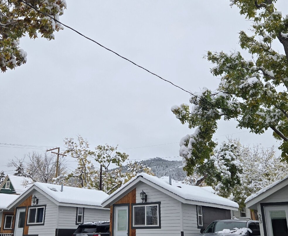 Lamplighter Cabins & Suites主图