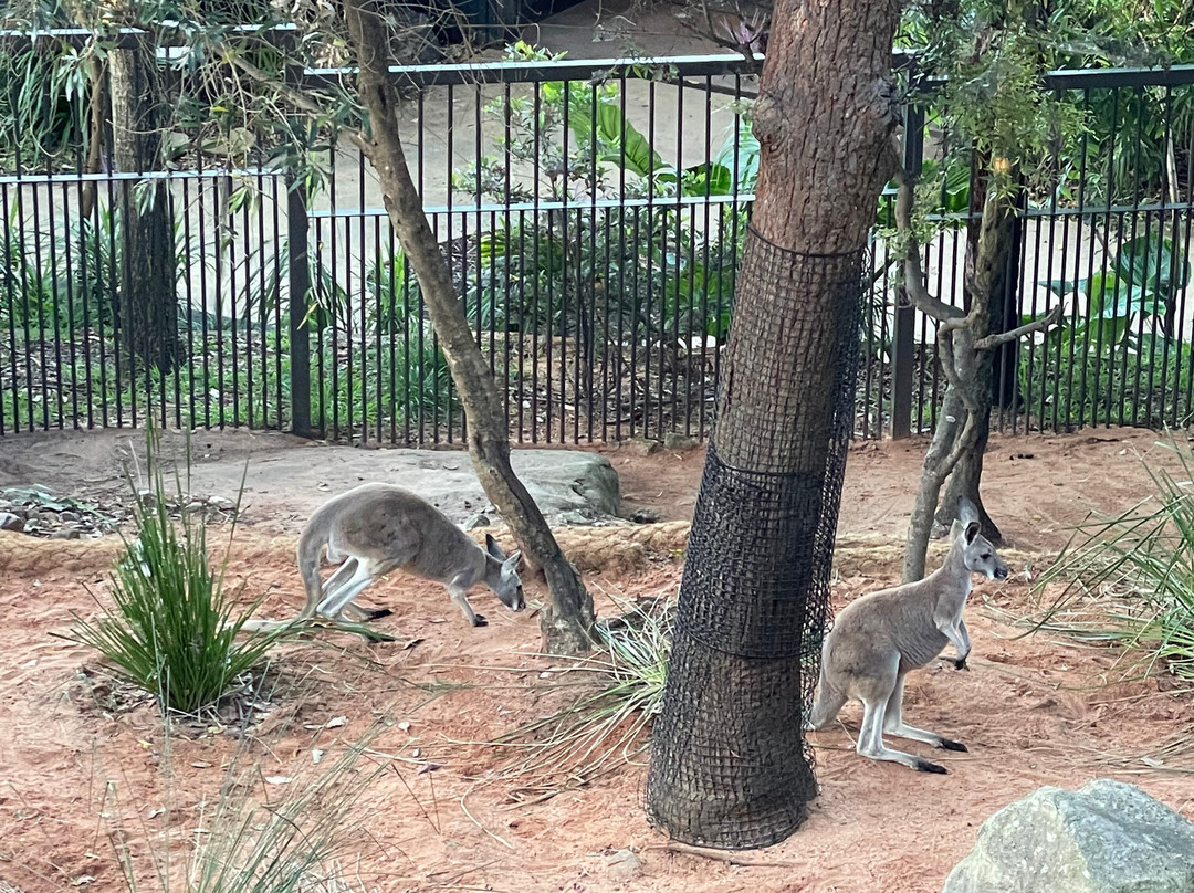 Wildlife Retreat At Taronga主图