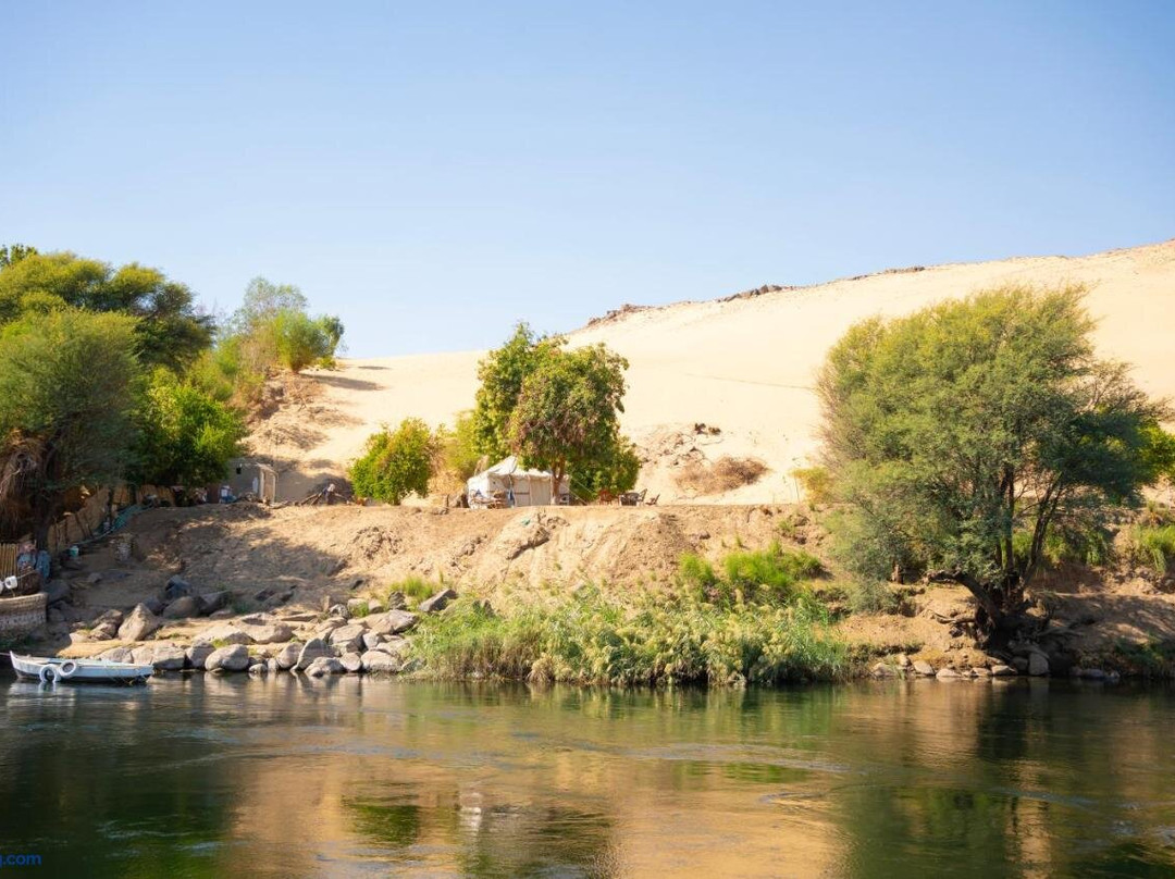 Anoosh Camp