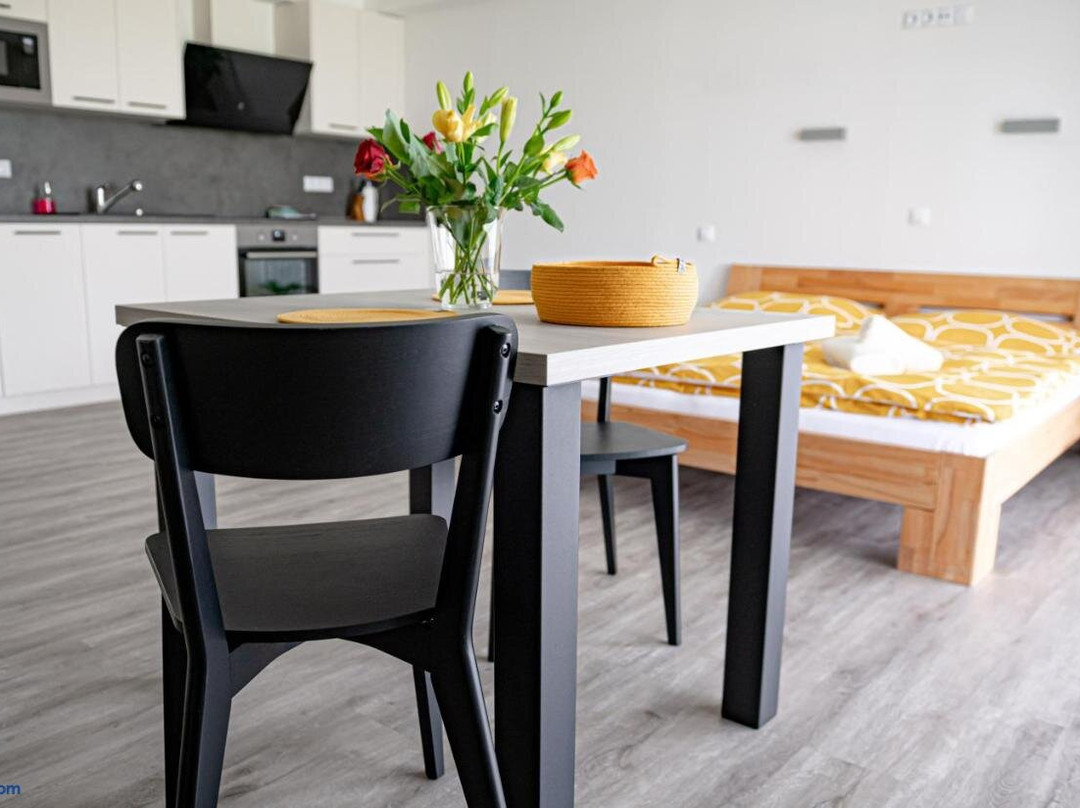 Apartmany Miska Mirkovice