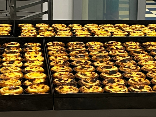 Badger Tours-塞新布拉必去景点