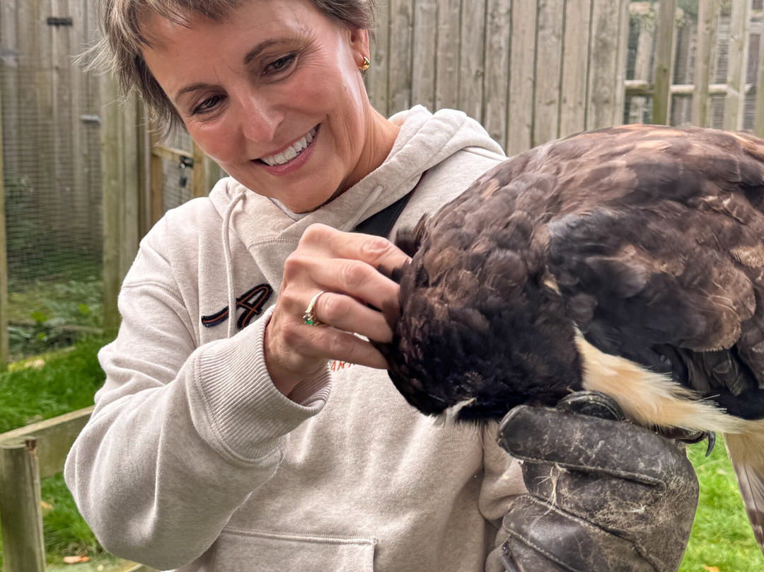 York Bird of Prey Centre-伊辛瓦必去景点