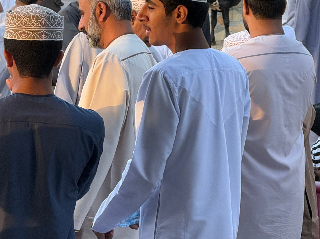 Friday Nizwa Animal Cattle Market-尼日瓦必去景点