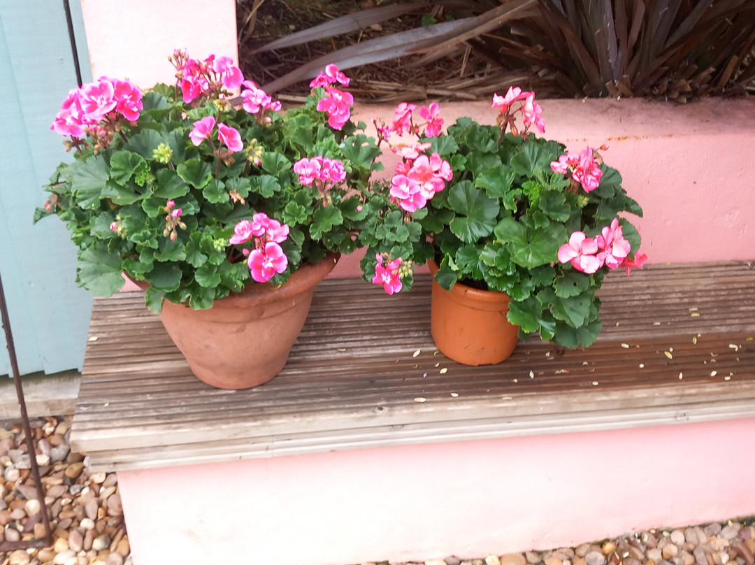 Sauna In The Lanes-布莱顿必去景点