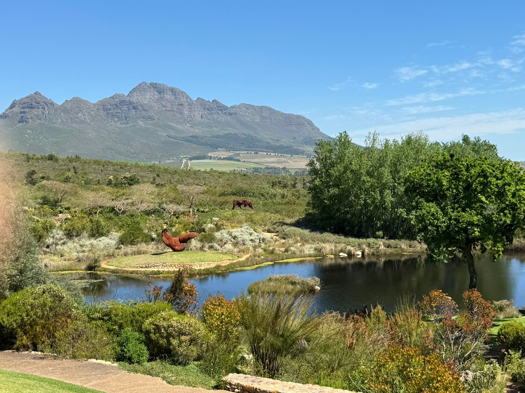 Dylan Lewis Sculpture  Garden-斯泰伦博斯必去景点