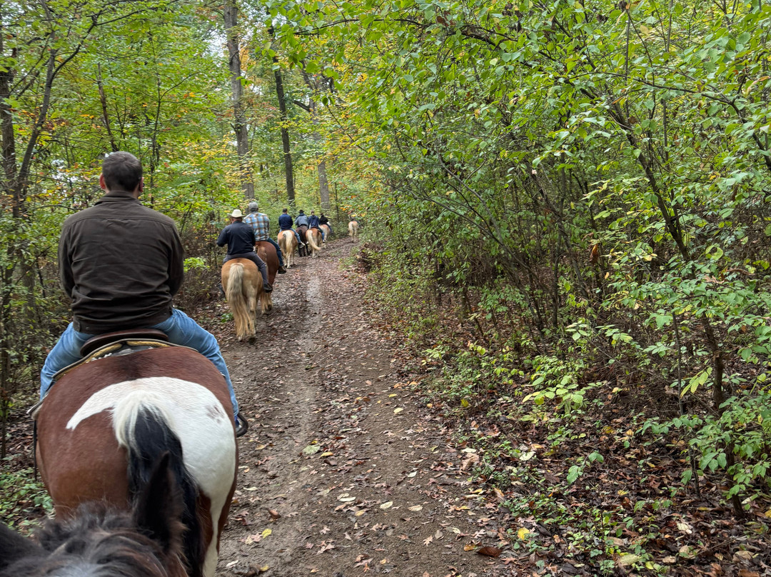 Hickory Hollow Horse Farm-葛底斯堡必去景点
