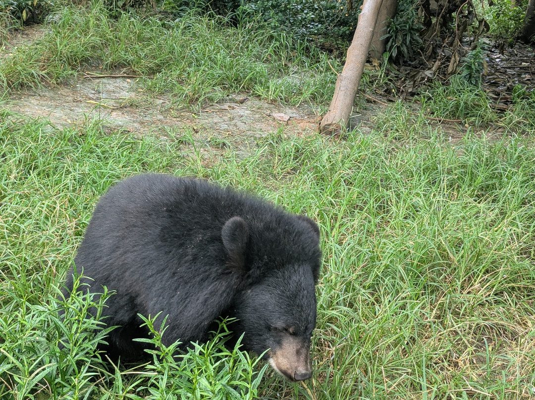 Luang Prabang Wildlife Sanctuary-琅勃拉邦必去景点