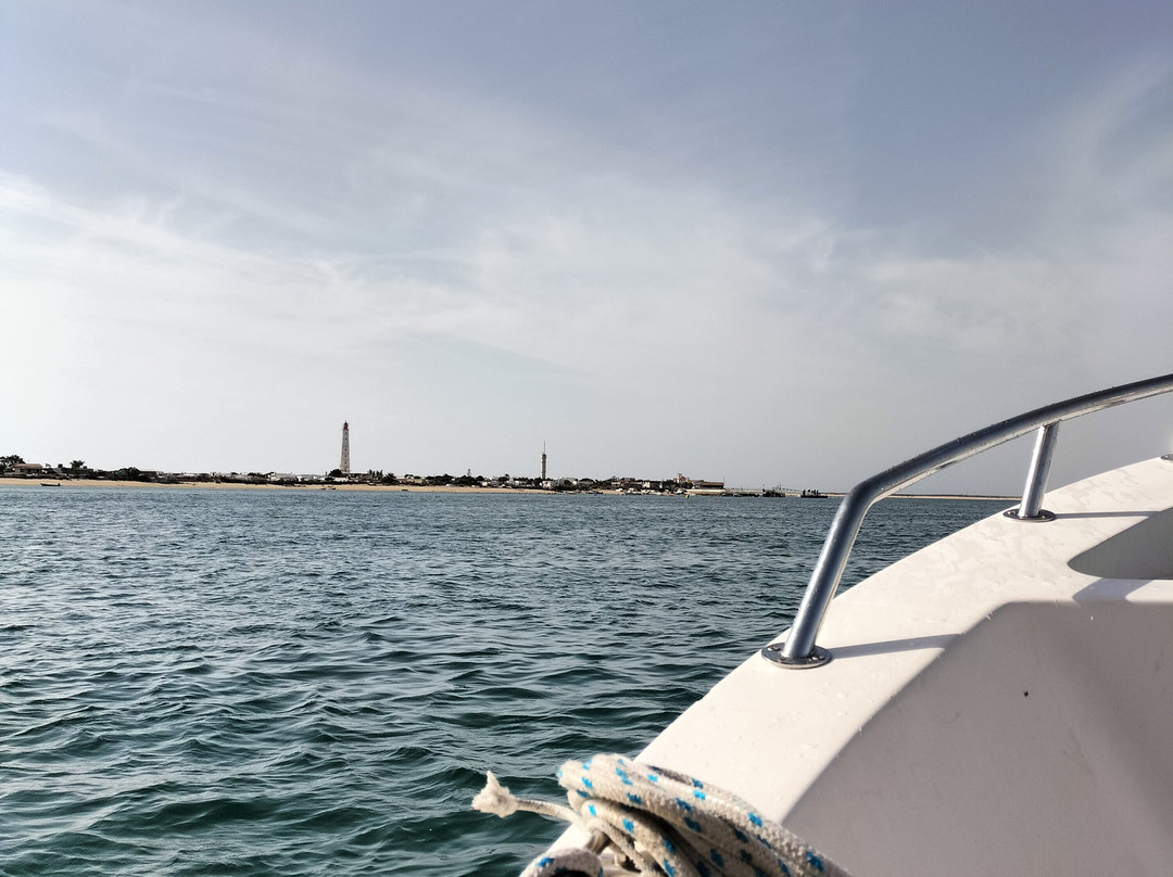 ODYSSEY - Ria Formosa Boat Tours-奥良必去景点