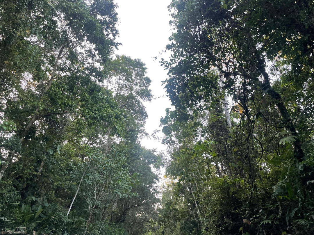 Equator Expeditions-Nayon必去景点