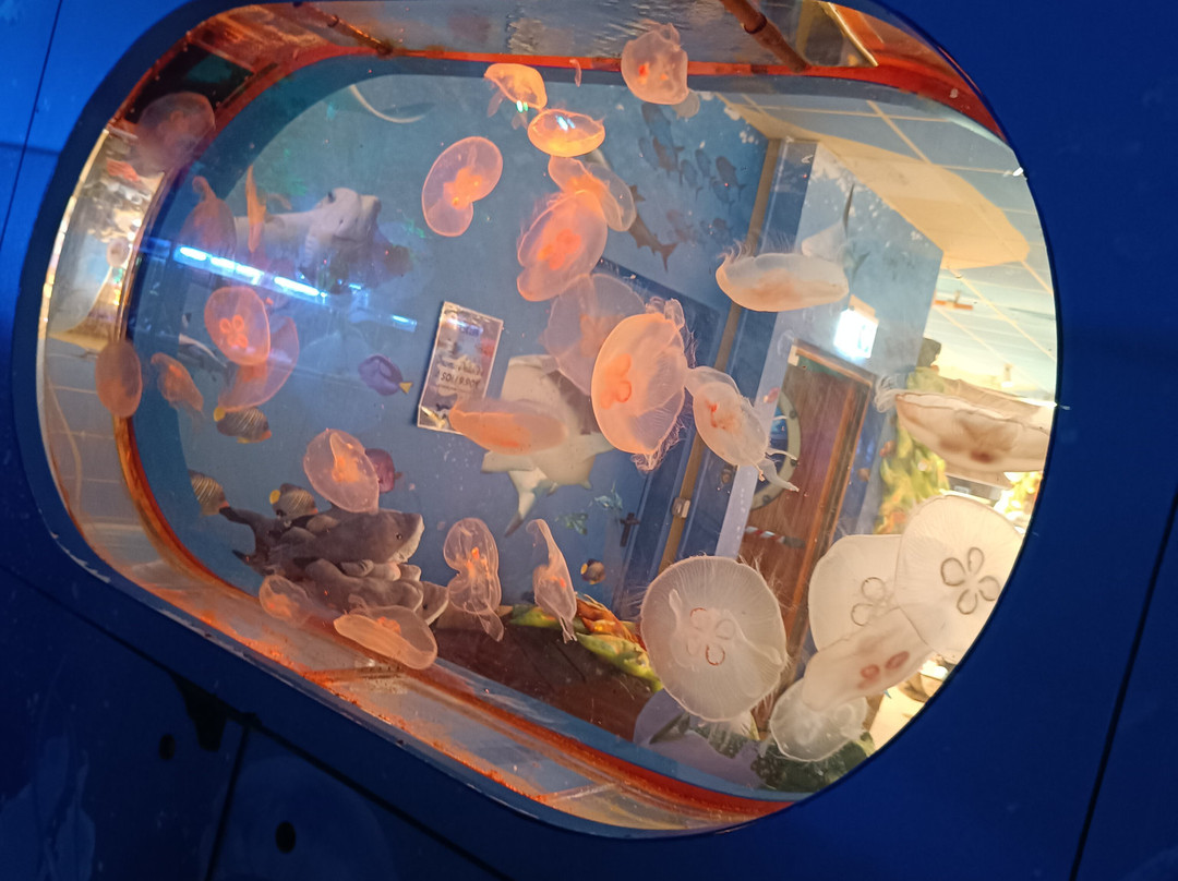 Gardaland SEA LIFE Aquarium-卡斯泰尔诺沃德尔加尔达必去景点