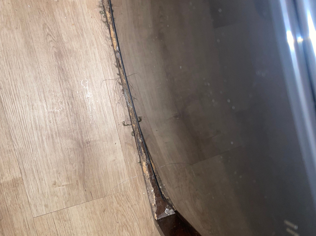 Microtel Inn & Suites By Wyndham Shelbyville主图