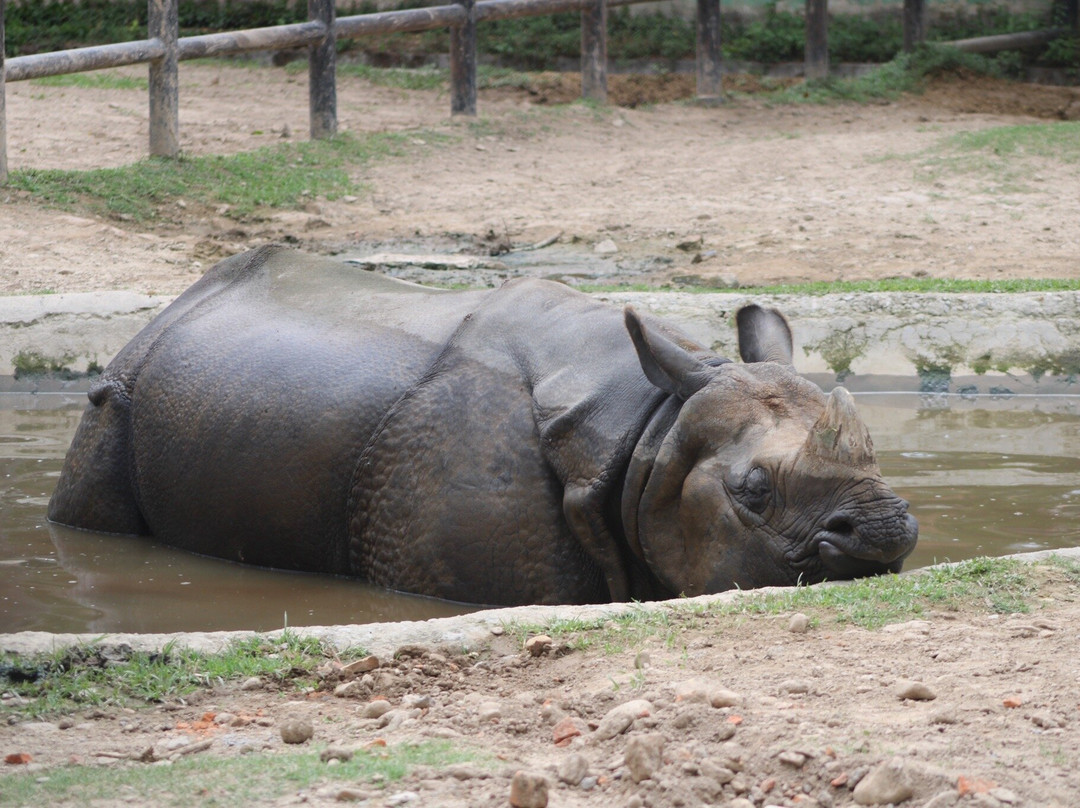 The Central Zoo-帕坦（拉利特浦）必去景点