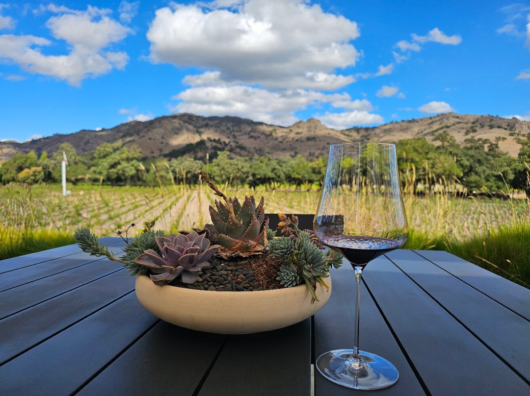 Stag's Leap Wine Cellars-纳帕必去景点