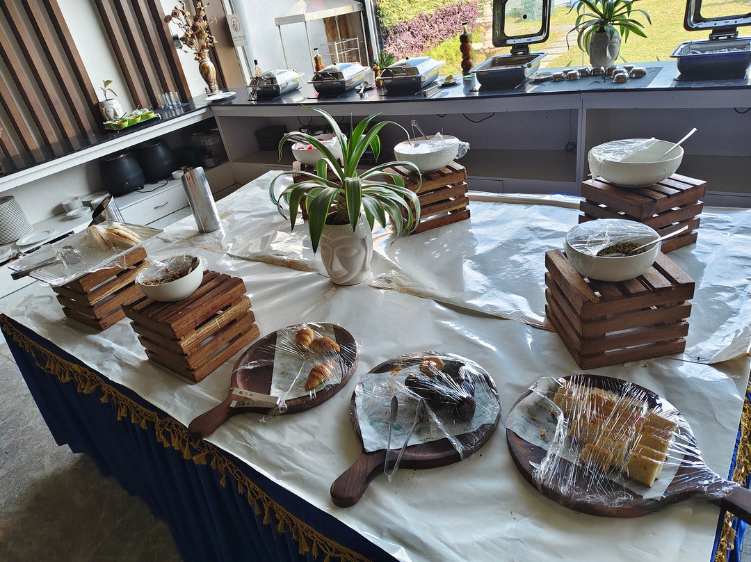 Jay Clarks Exotica主图