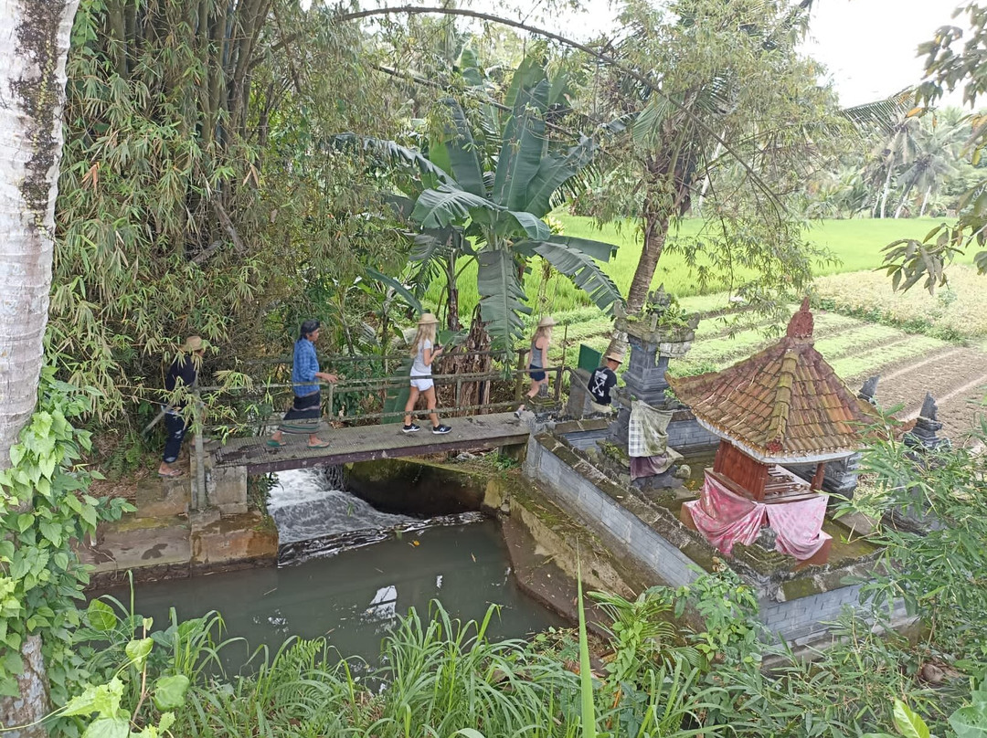 Bali Agritours-阿比安塞马尔必去景点