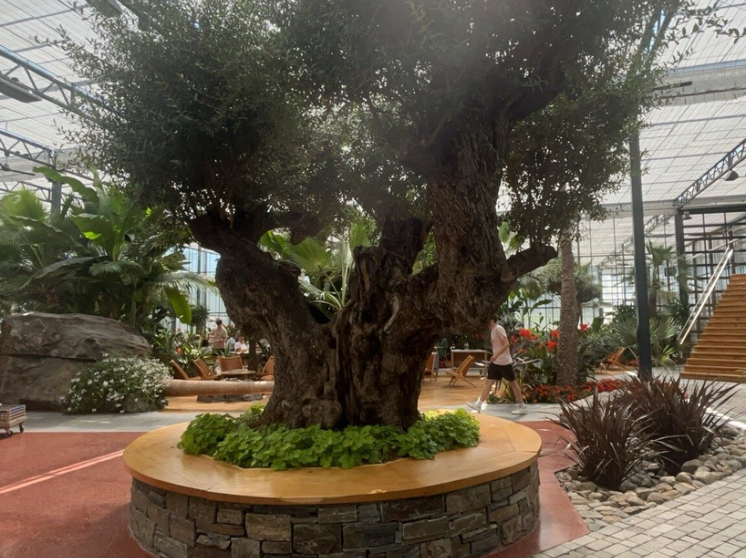 弗洛尔费亚拉岛-斯塔万格必去景点