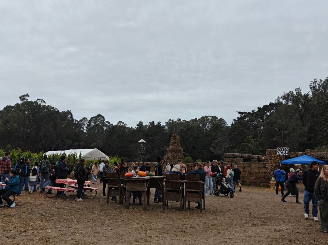 Arata Pumkin Farm-半月湾必去景点