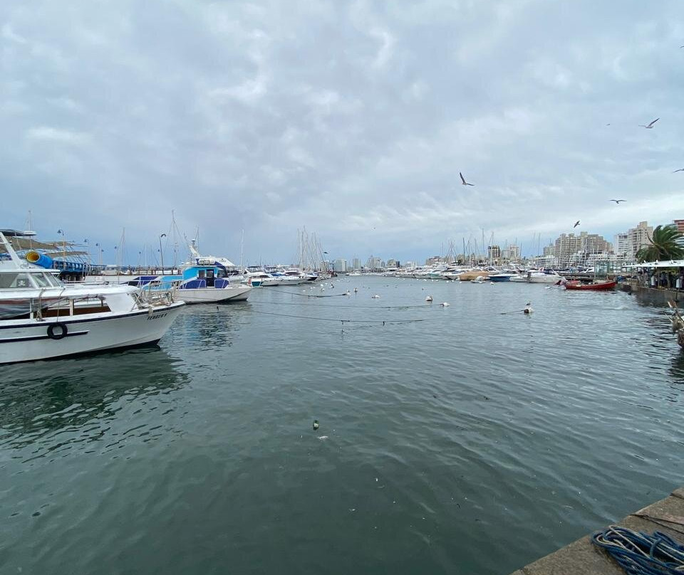 波多黎各德埃斯特角城-埃斯特角城必去景点