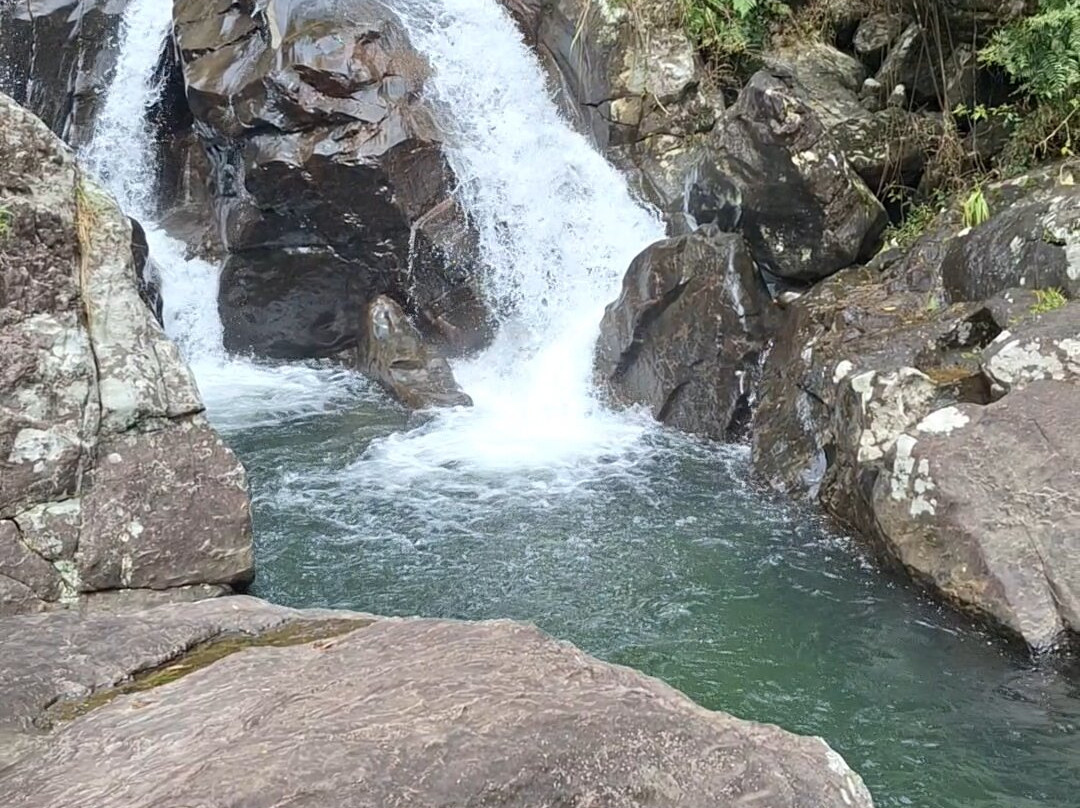 Knuckles Trail Blazers-Kandy District必去景点