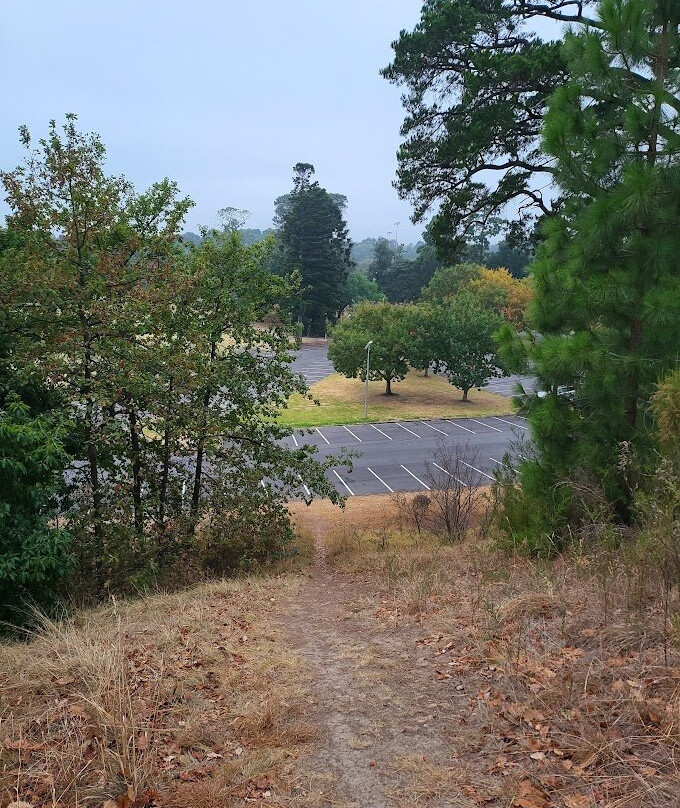Heidelberg Park-Heidelberg必去景点