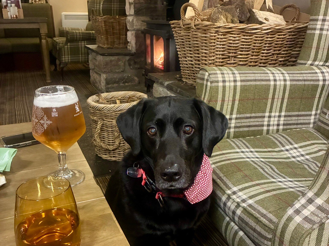 Murraypark Hotel主图