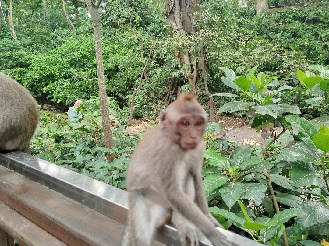 Bali Hire Driver-努沙杜瓦必去景点