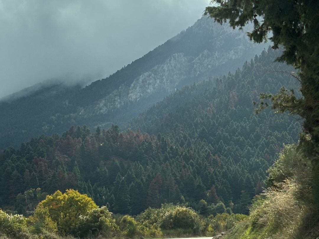 Makellaria Monastery-卡拉夫里塔必去景点