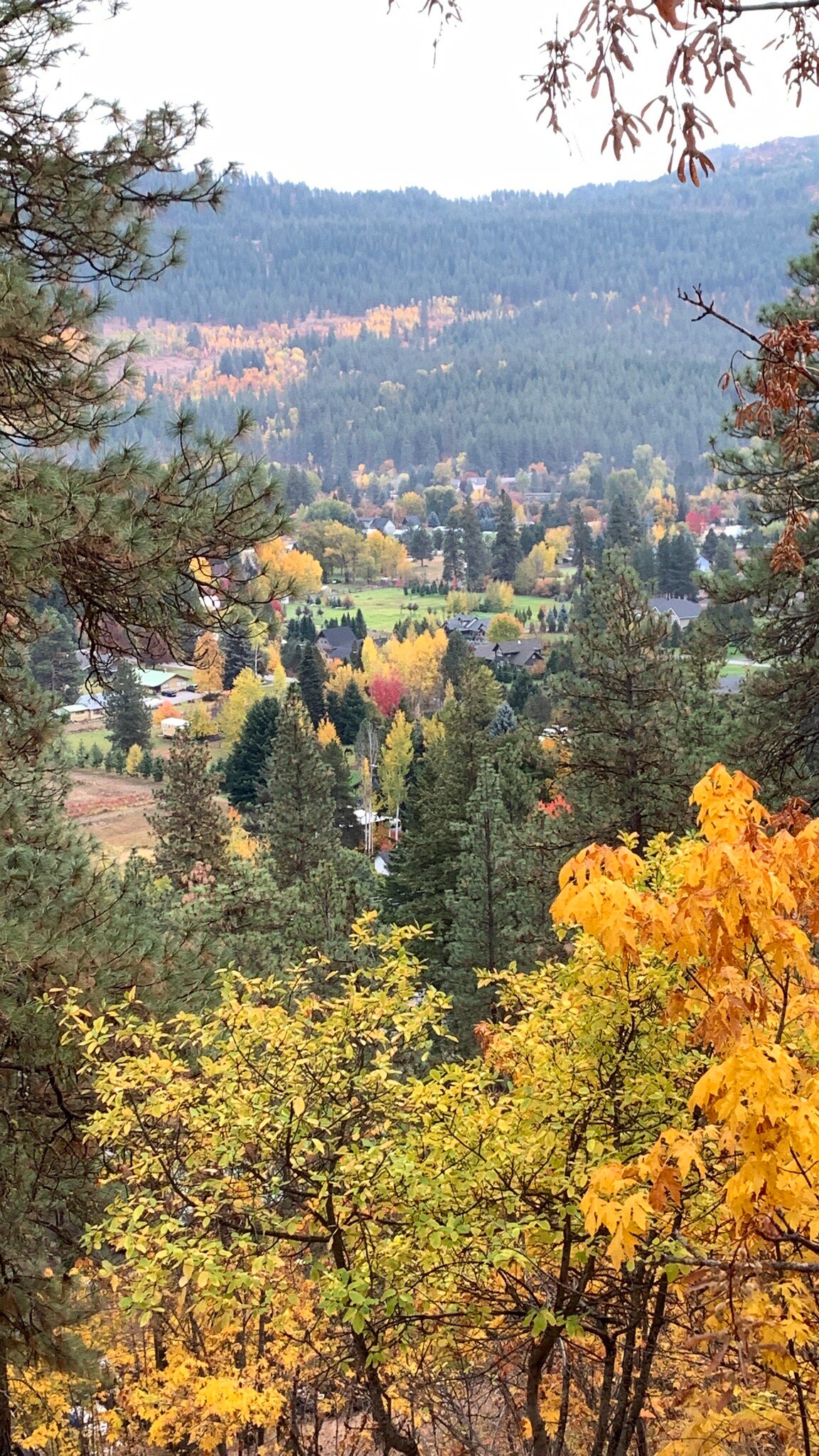 Sleeping Lady Mountain Resort-官方