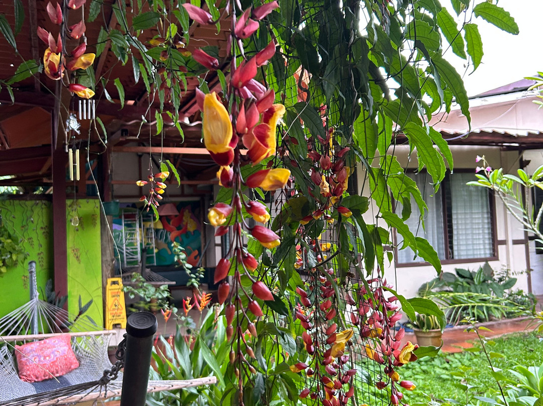 Turrialba Bed and Breakfast主图