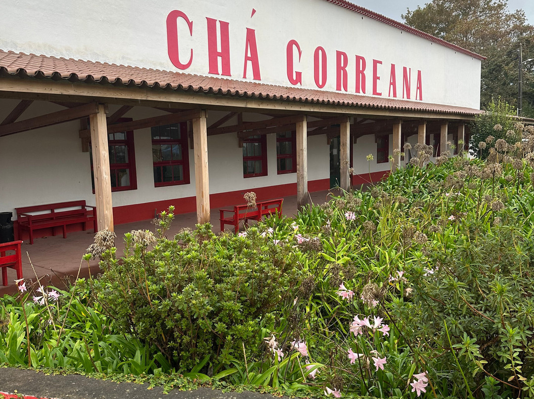 Plantações de Chá Gorreana-Maia必去景点