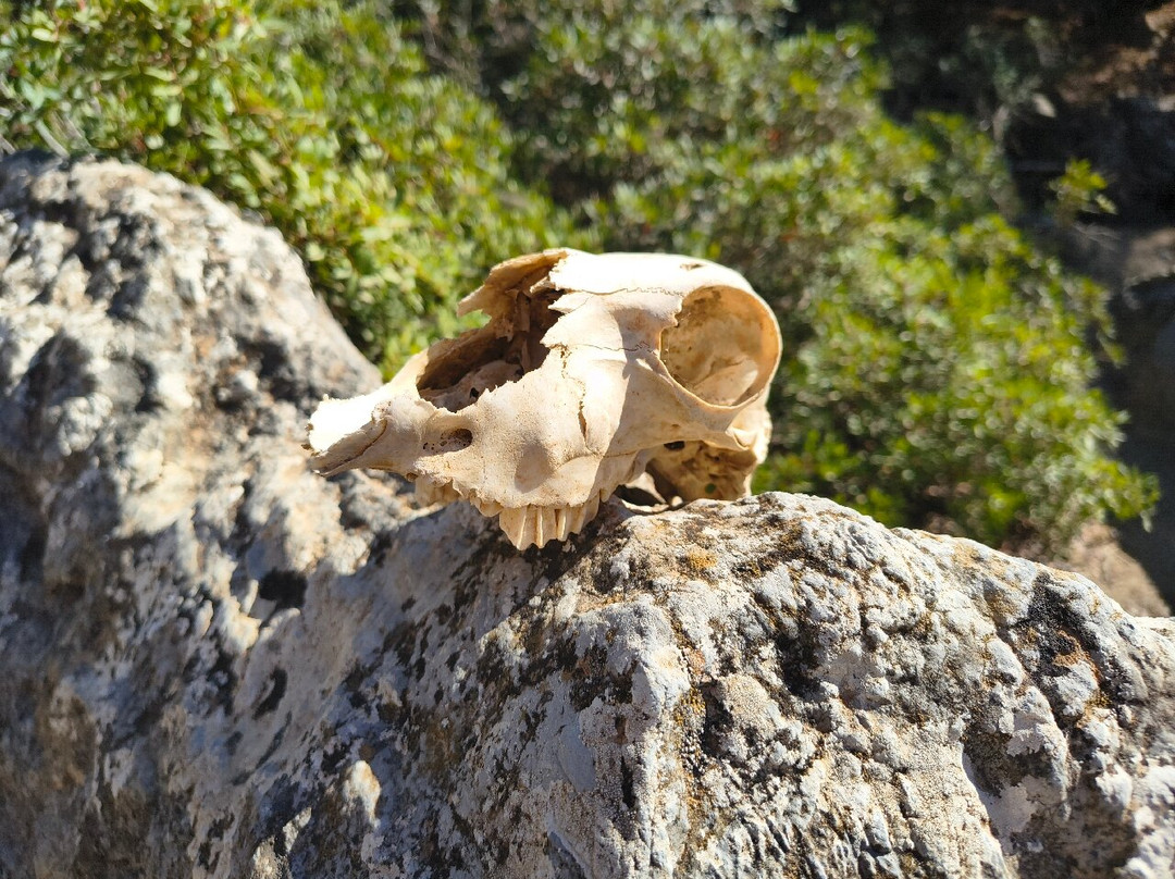 Aposelemis canyon-Analipsi必去景点